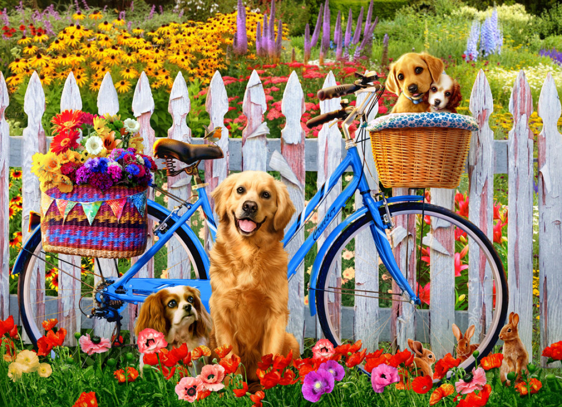 Pedal Pups, Andrew Farley