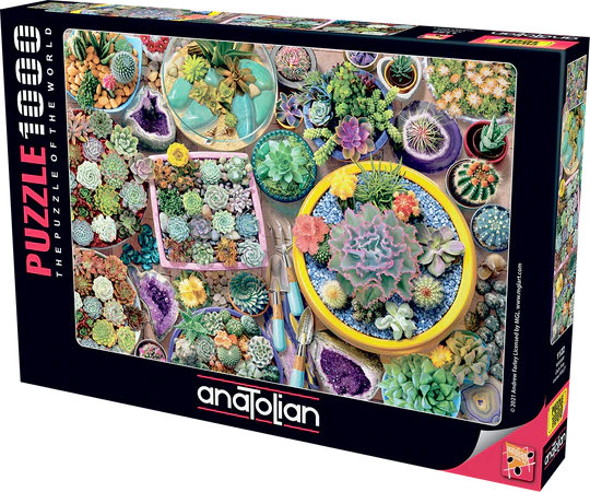 Cacti Pots (1000pcs)