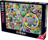 Pots de cactus (1000 pc)