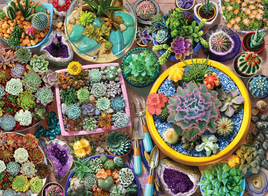 Cacti Pots (1000pcs)