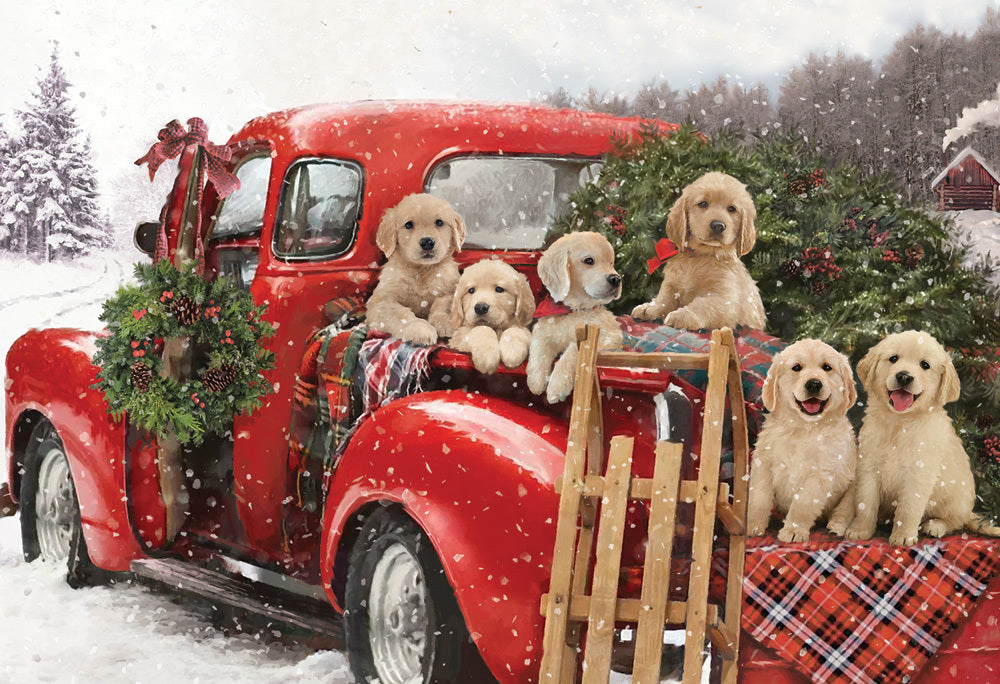 Puppies' Holiday Ride, Jason Kirk