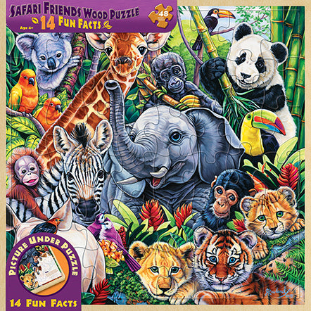 Amis de safari (plateau)
