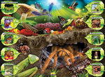 Insects Interactive Puzzle