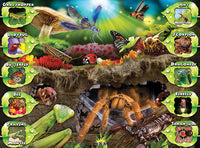 Insects Interactive Puzzle