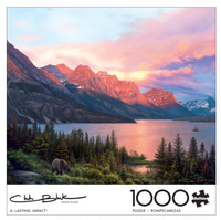 PFG A Lasting Impact, Chuck Black (Usage/Used - PUZZLES FOR GOOD)