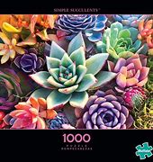 Photographie: simple succulent