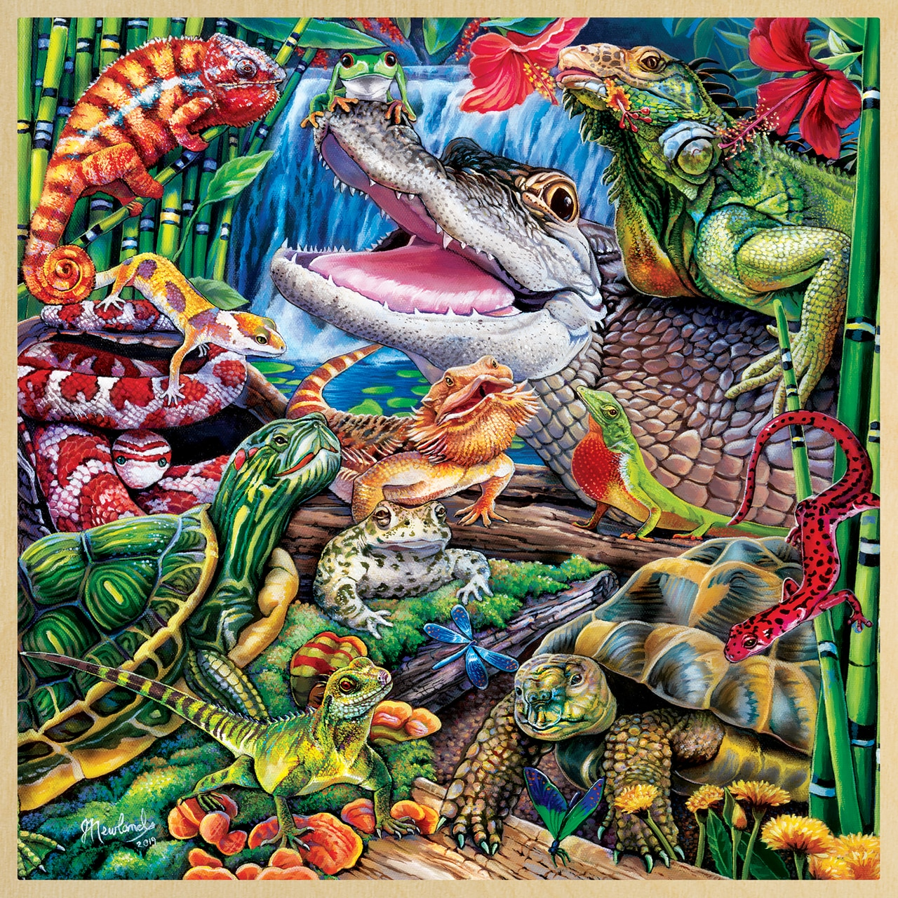 Reptile Friends, Jenny Newland