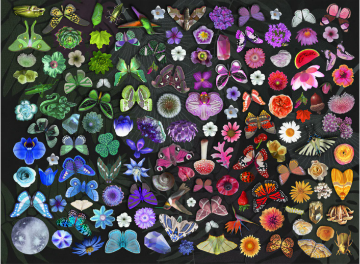 Twilight Garden, Josie Lewis