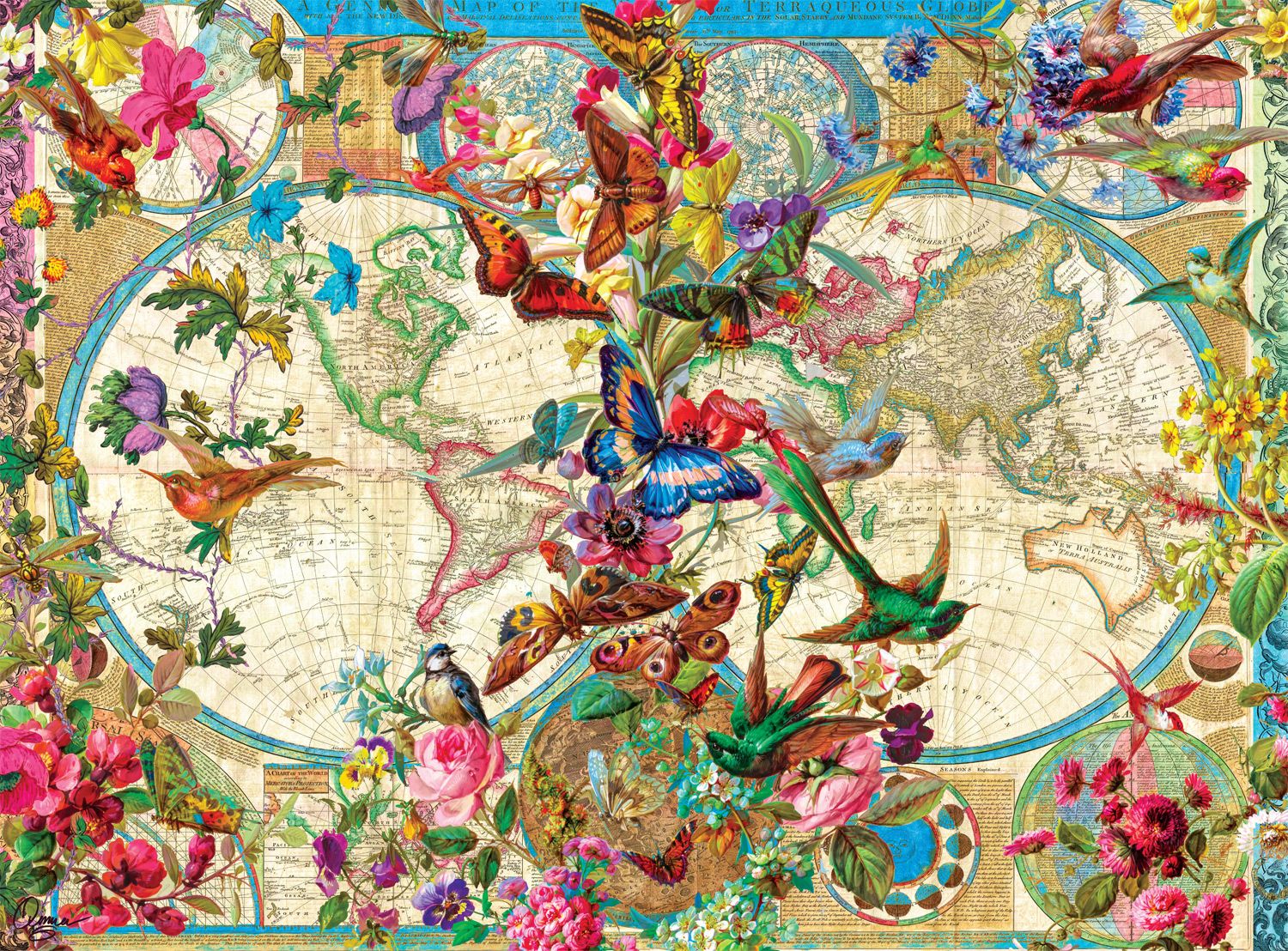 Birds Butterflies and Bloom Map,  Aimee Stewart