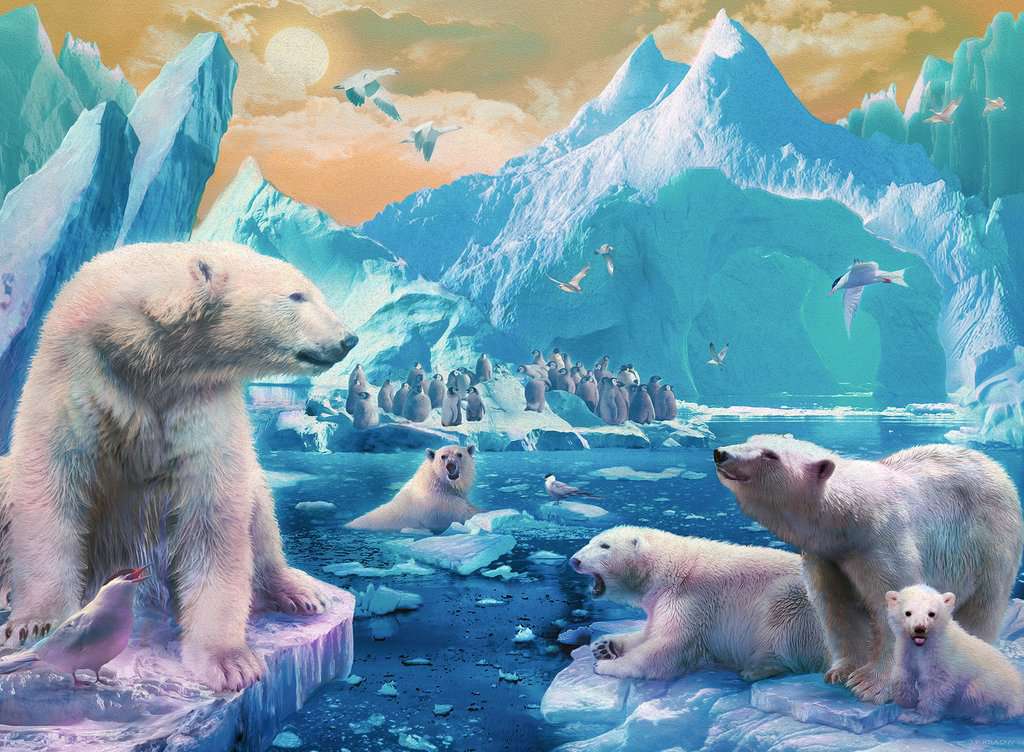 Royaume Polar Bear Kingdom (300xxlpcs)