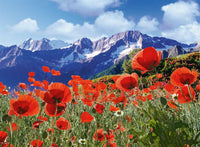 Charme de montagne Ravensburger