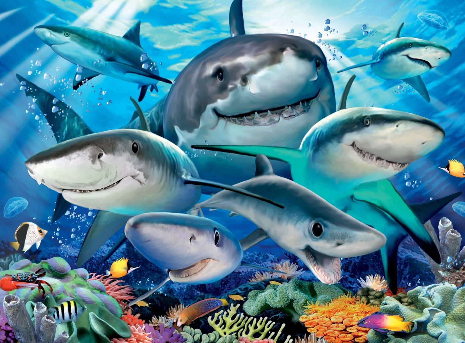 Ravensburger souriant des requins, Howard Robinson