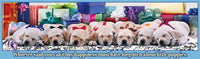Puppies de vacances (puzzle panoramique)