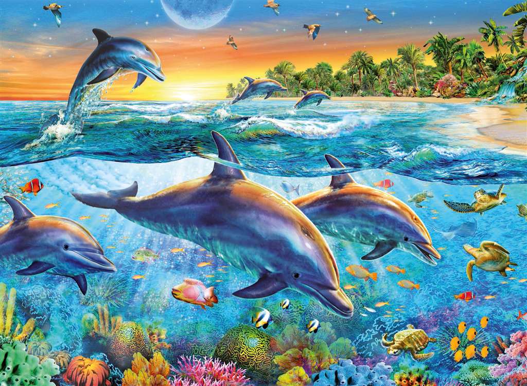 Ravensburger Dolphin Cove