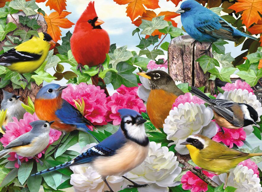 Ravensburger Garden Birds (500pcs)