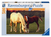 Ravensburger Beautiful Horses