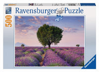 Ravensburger Valensole, France