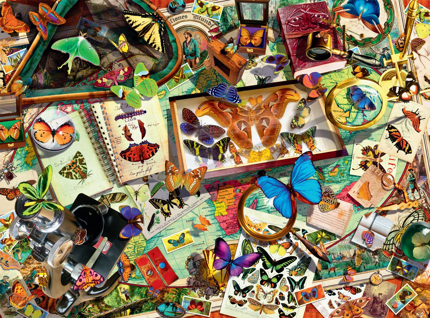 Signature Collection: Butterfly Collector