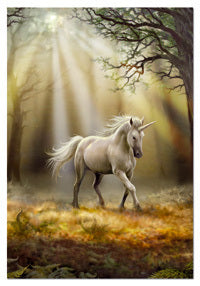 Anne Stokes - aperçu d'une licorne