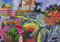 Ravensburger Bicycle Group