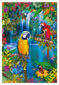 Terre tropicale des oiseaux