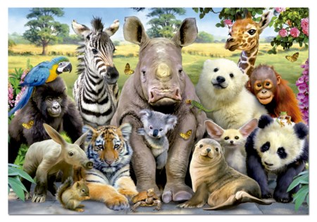 Photo de classe