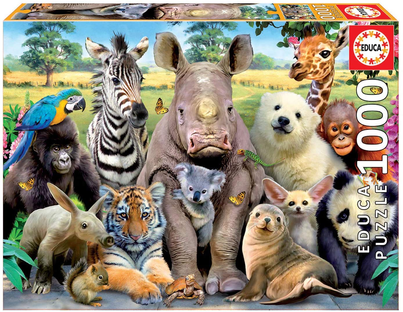 Photo de classe