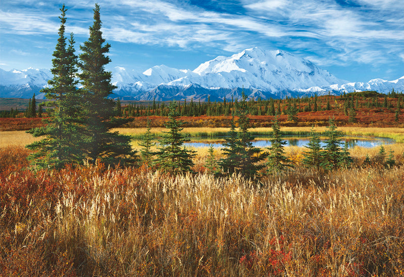 Denali National Park, USA
