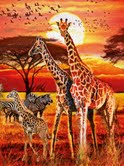 Ravensburger African Sunset