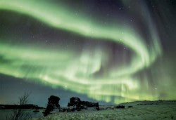 Northern Lights (Paradis Hivernal)