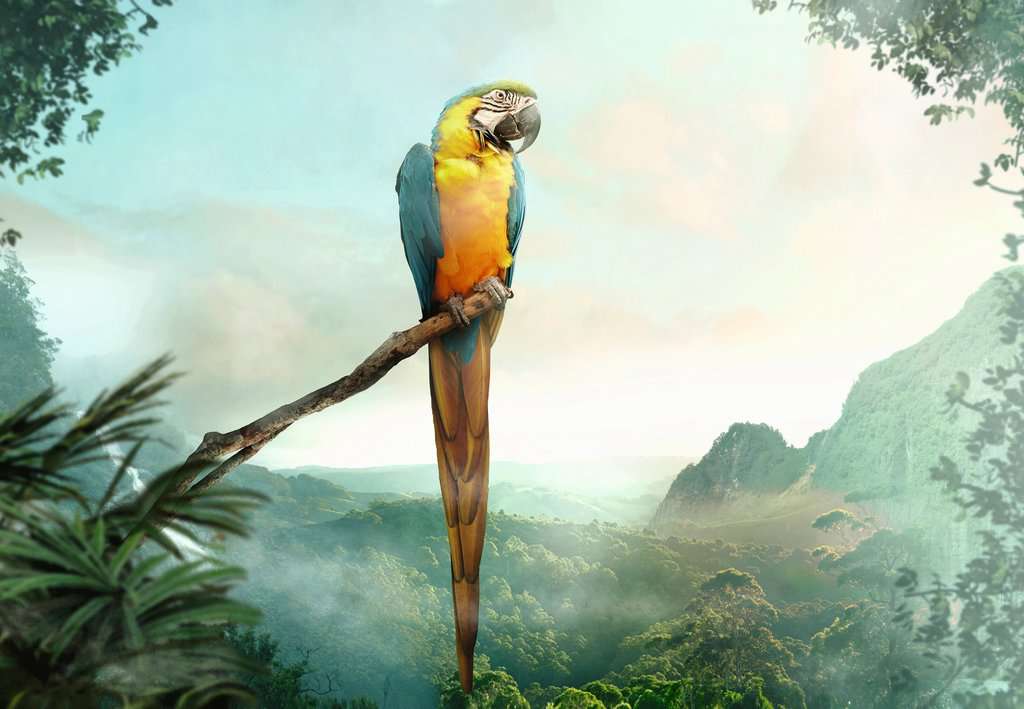 Ravensburger Puzzle Moment: Parrot (99pcs)