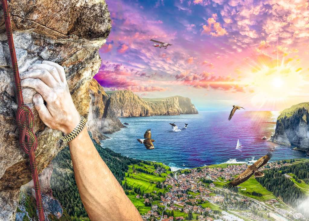PFG Ravensburger Escalade (1000 pièces) (État : Utilisé - PUZZLES FOR GOOD)