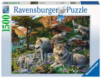 Wolves Ravensburger au printemps