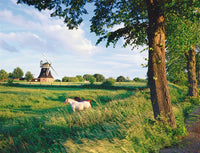 Ravensburger Idyllic Landscape