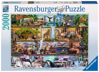 Ravensburger Wild Kingdom Shelves, Aimee Stewart (2000pcs)
