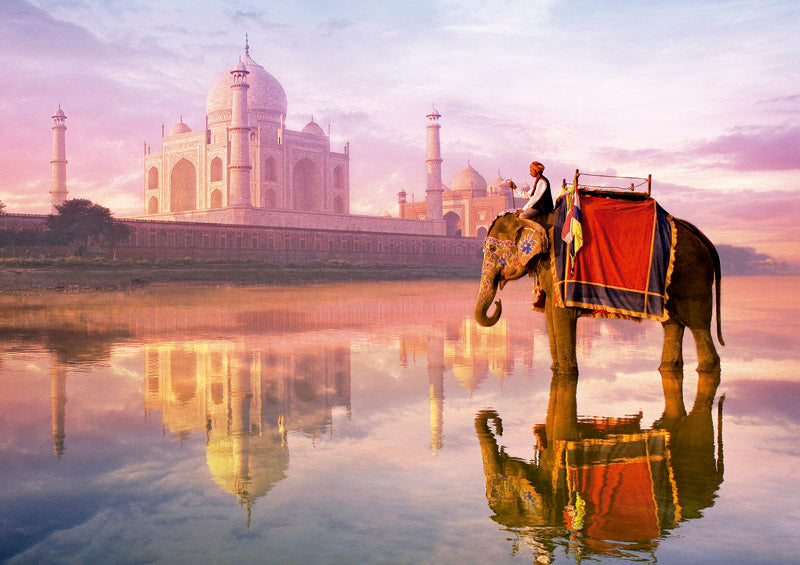 Elephant at Taj Mahal