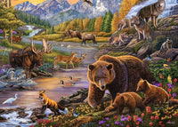 Ravensburger Wilderness (500 grands)