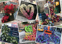 Ravensburger NYC Flower Flash, Lewis Miller (1000pcs)