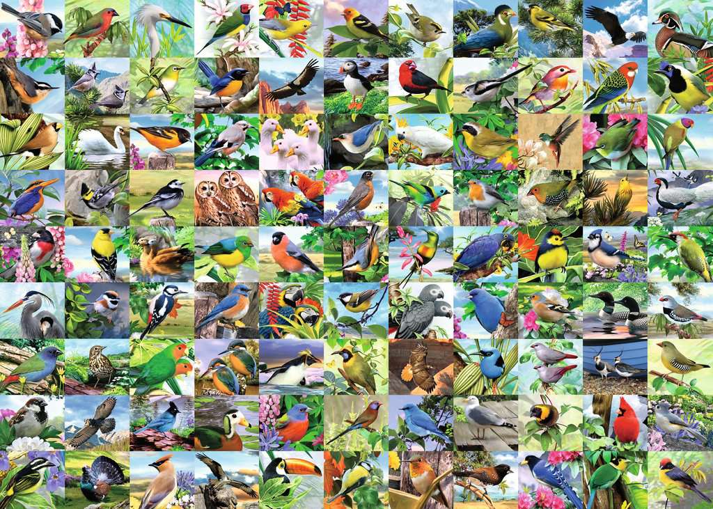 Ravensburger 99 Delightful Birds, Howard Robinson (300 Large)