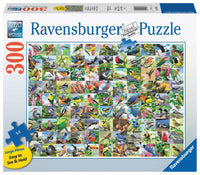 Ravensburger 99 Birds délicieux, Howard Robinson (300 grands)