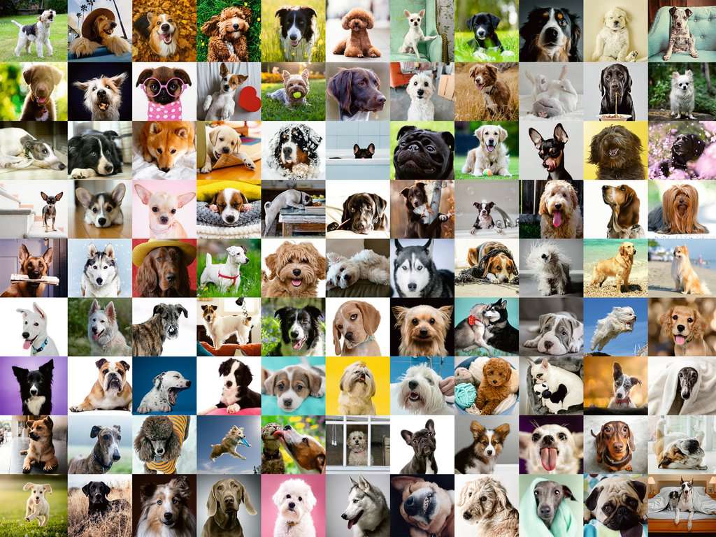 Ravensburger 99 Loveable Dogs (750 Large)