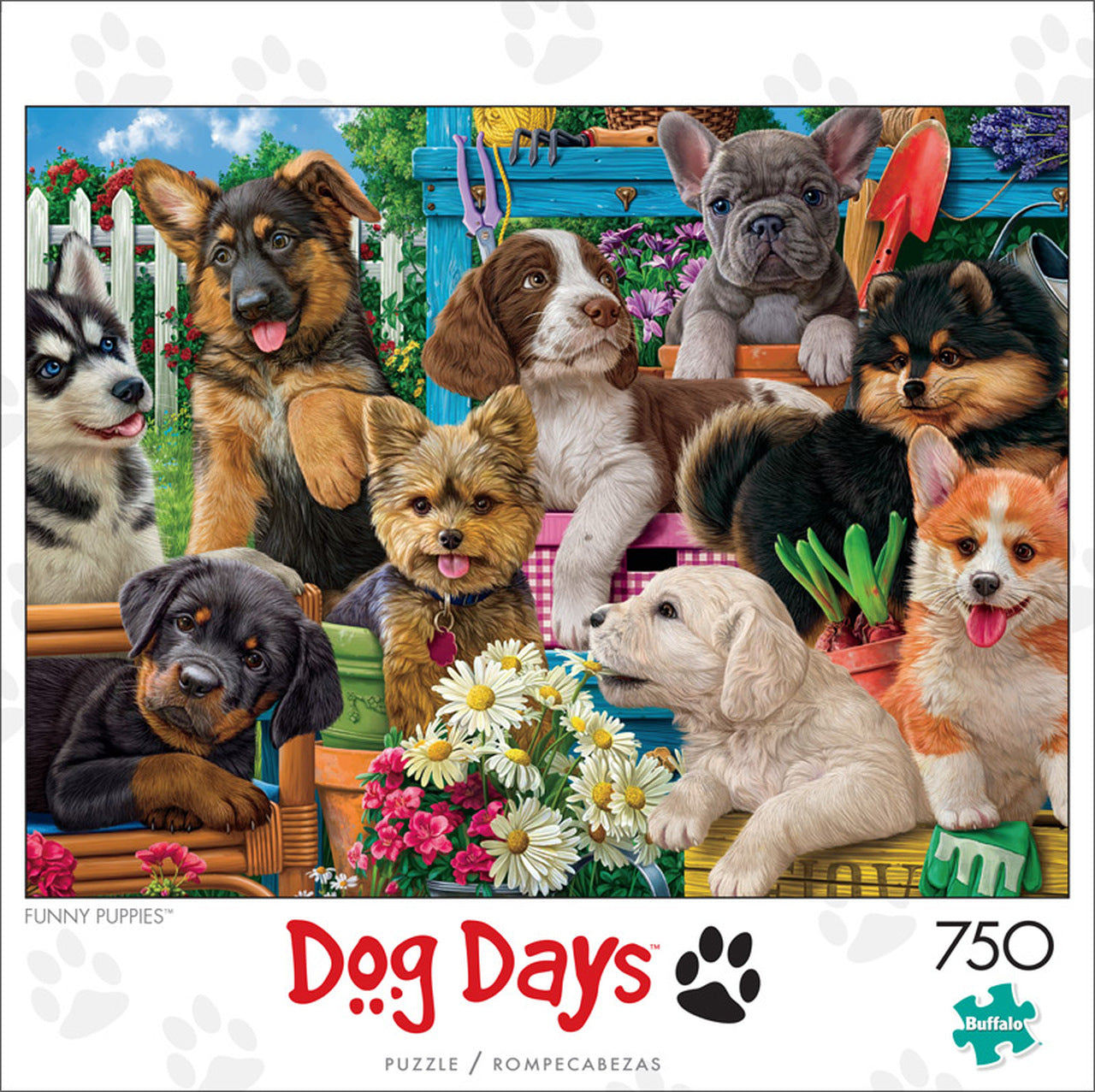 Dog Days: Funny Puppies