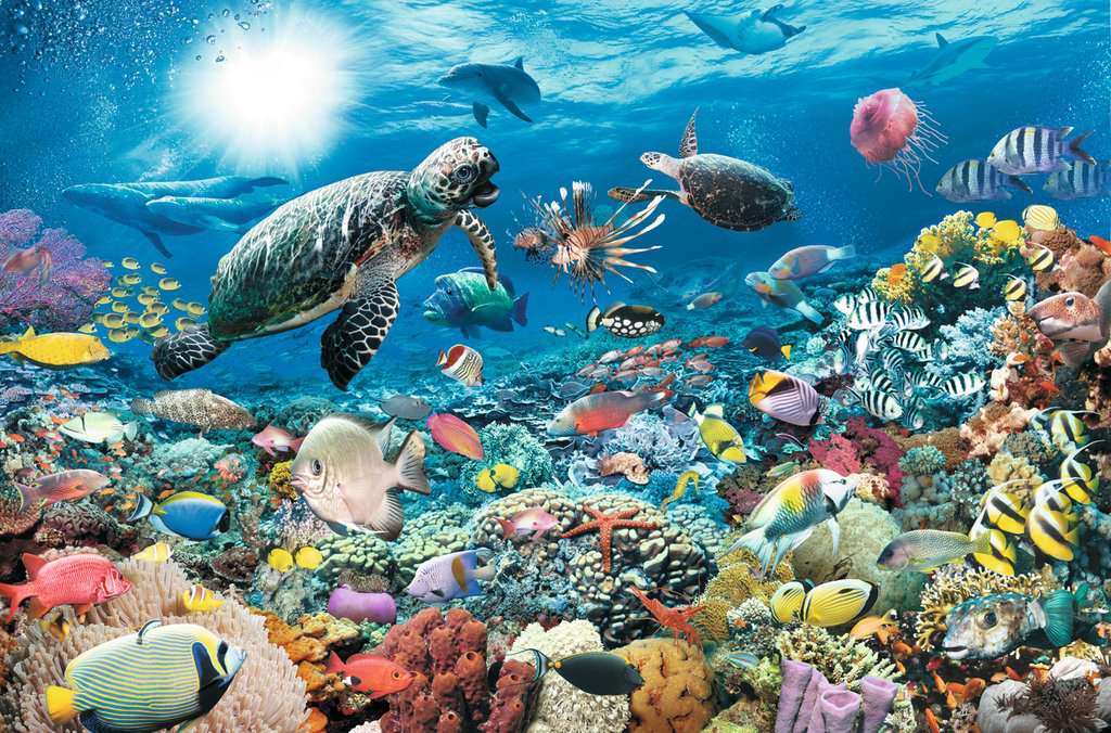 Ravensburger sous la mer, Walter Pepperle (5000pcs)