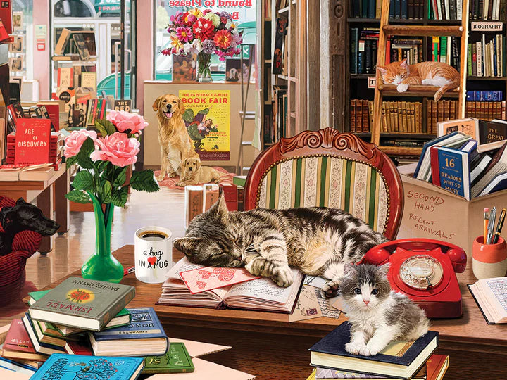 Cozy Bookshop, Steve Read (500pcs)
