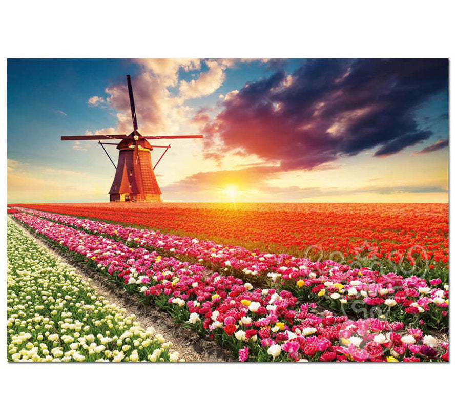 PFG Tulips Landscape (Usagé/Used - PUZZLES FOR GOOD)