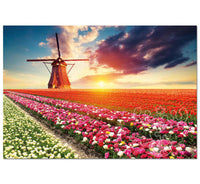 Paysage des tulipes (1500pcs)