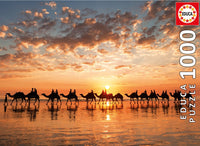 Coucher de soleil doré sur Cable Beach, Australie
