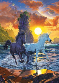 Unicorns On A Beach, Vincent Hie