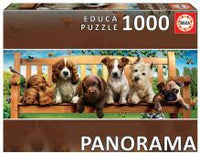 Chiots sur le banc (panorama)