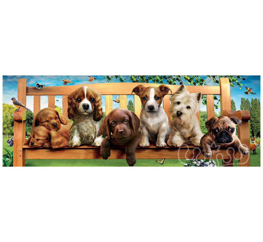 Puppies On The Bench (Panorama)